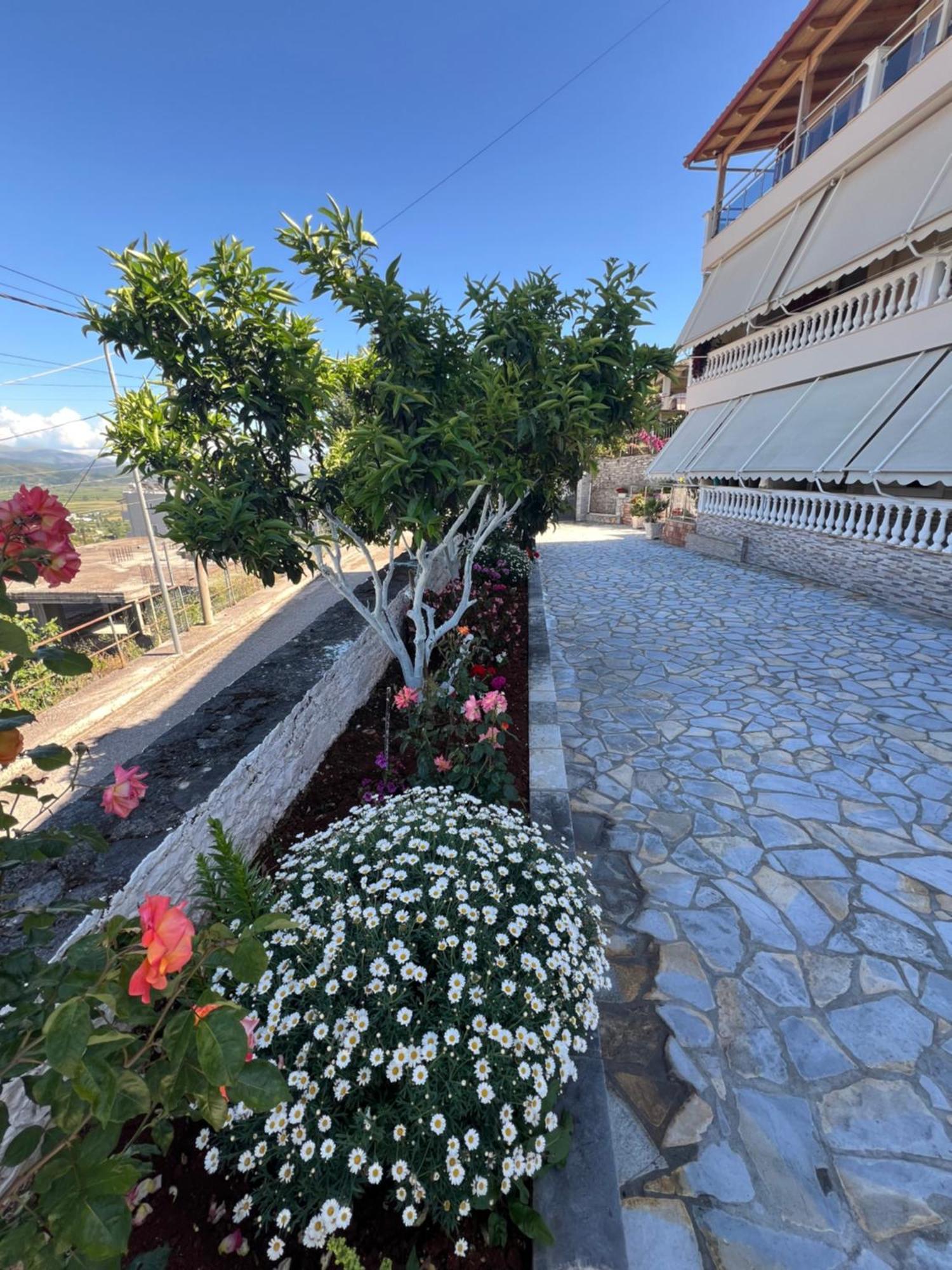 Amazing Familiar Apartments And Rooms Saranda Kültér fotó